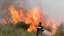 Ηλεία: Πυρκαγιά σε δασική έκταση στο Κουνουπέλι