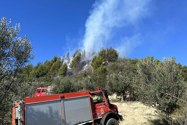 IMG e8e0edb5de026b0c87d0633041f9629a V