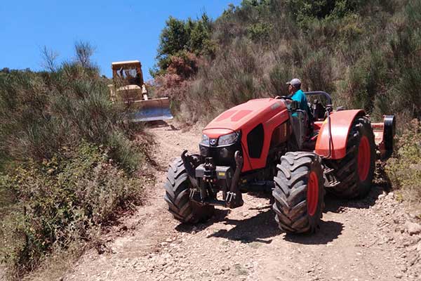 296375401 1222300295289336 872478515546784934 n