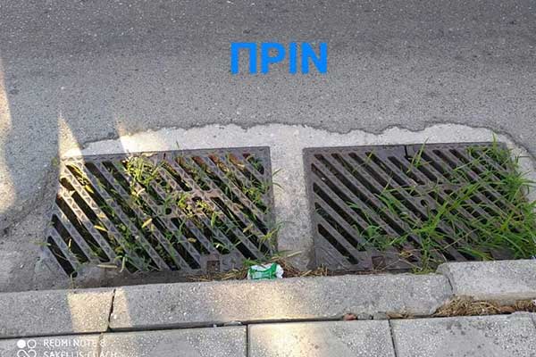IMG 0301