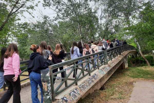 IMG 891e13eae70454491250a409c6945493 V