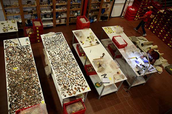 22894170 252863 216665 type13260