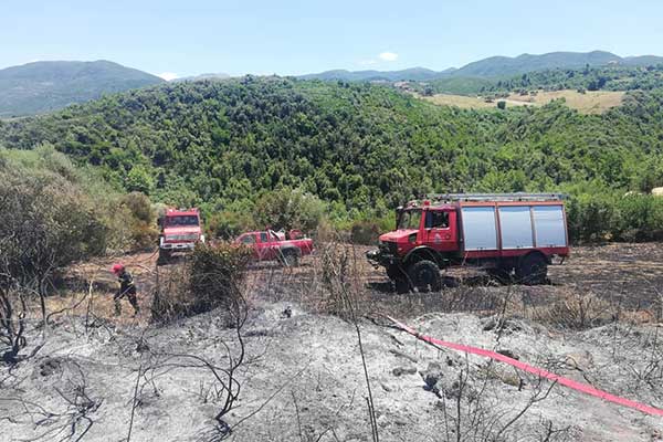 103963340 3100261766725972 2436456340309671701 n