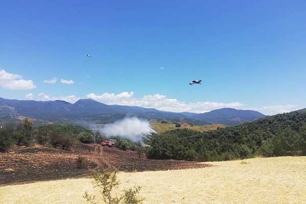 103998064 3100261483392667 7269144830241649160 n