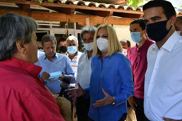 235295484 10160222923332699 3335366800350788491 n