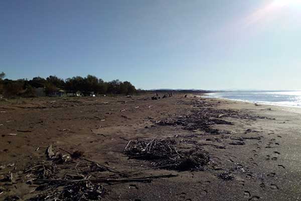paralia3