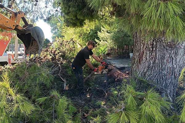 1---2023-09-14T153445.728