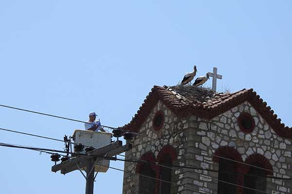 ΦΩΤ 5 ΑΡΧΕΙΟ ΜΑΜΑΣΗ