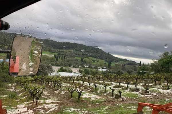 336895019 776893590453604 1678802948824676842 n