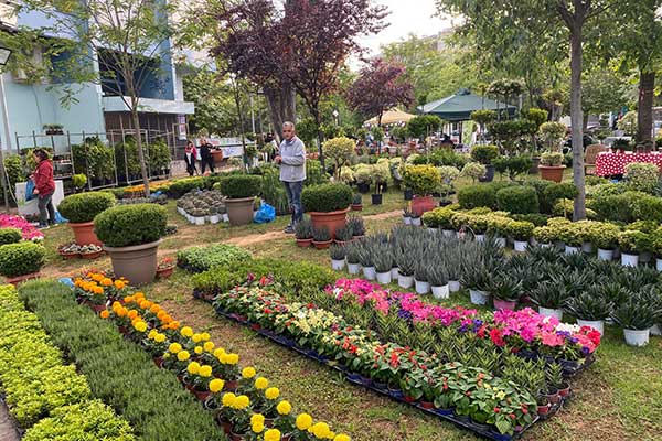 ΑΝΘΟΚΟΜΙΚΗ 6