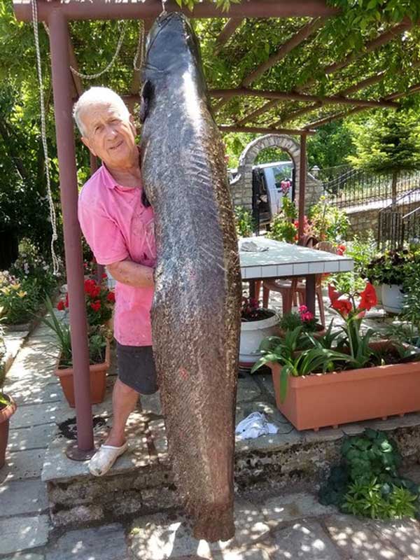goylianos limni plastira 17 6 2019