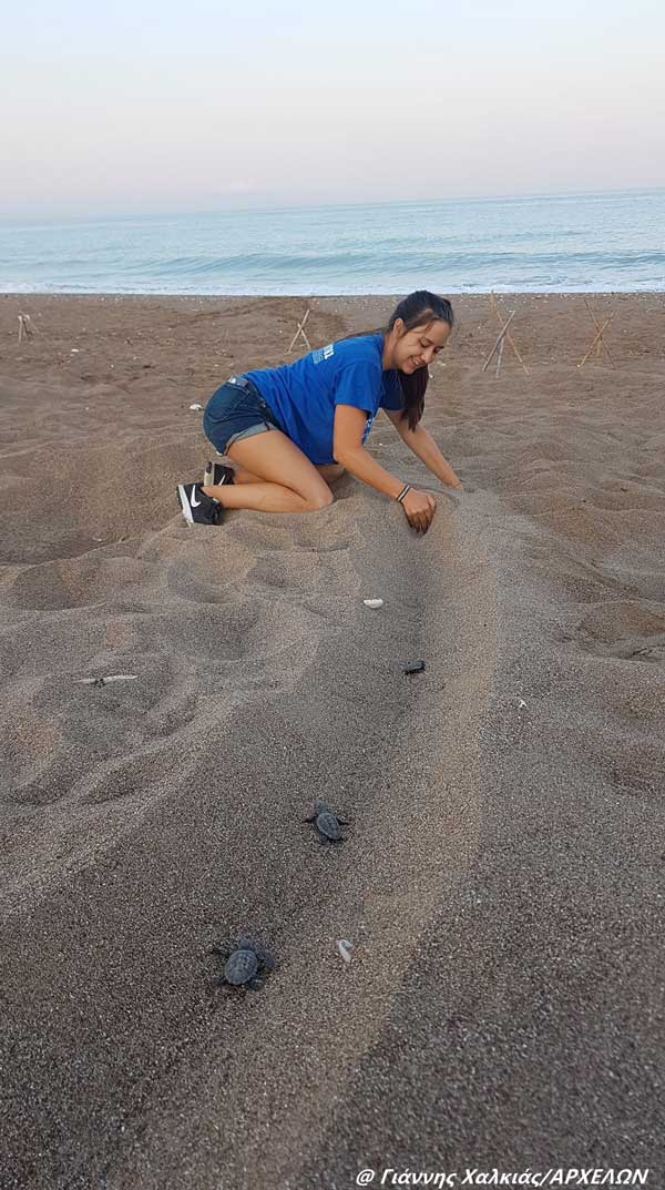 chalkias kyparissiakos