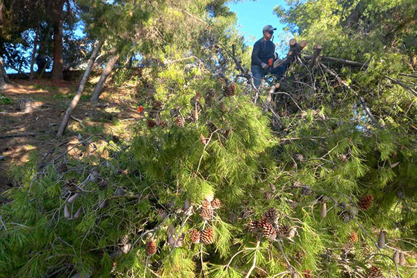 468716986 122186949992177802 3407956491687518101 n