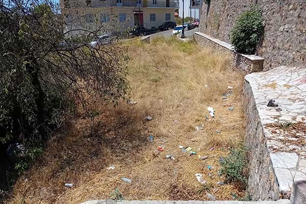 365049771 1342830983305404 8791828028042633243 n