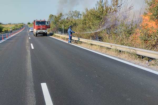 294956678 3153717398226556 1979673881093546189 n