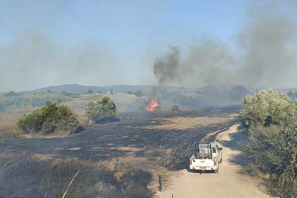 295074167 3153717231559906 5396007017881577149 n