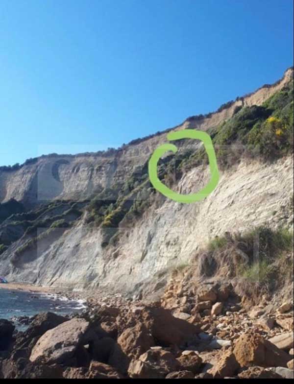 d787d472af1642e8bf98c6d7bdb7b304