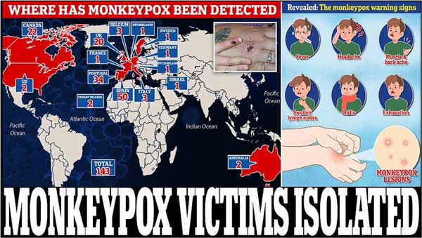 xartis 252863 321088 type13260