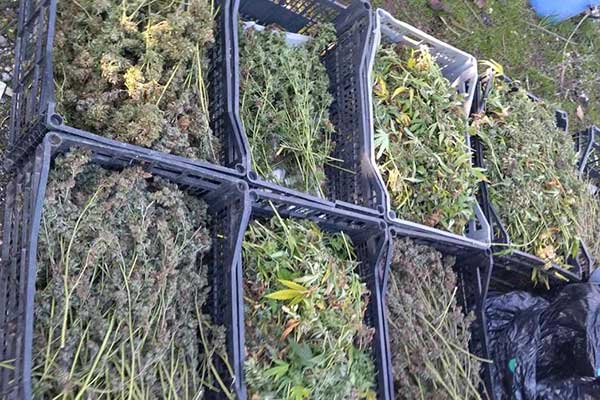 405881337 653586196962941 7746058546750856892 n