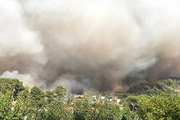 295737721 10225198907393893 5616193043049785733 n