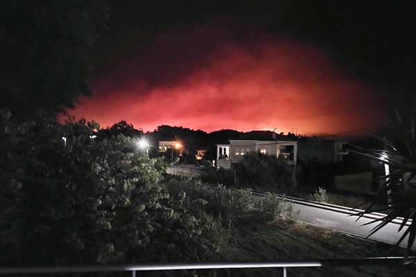 295927879 10228138432990226 4211584551376878399 n