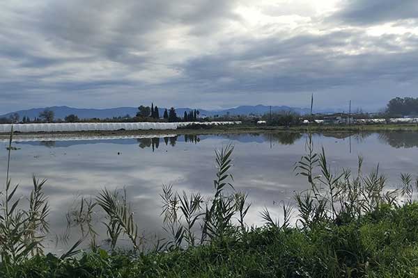 327555280 3270507293214748 7200886778638245127 n