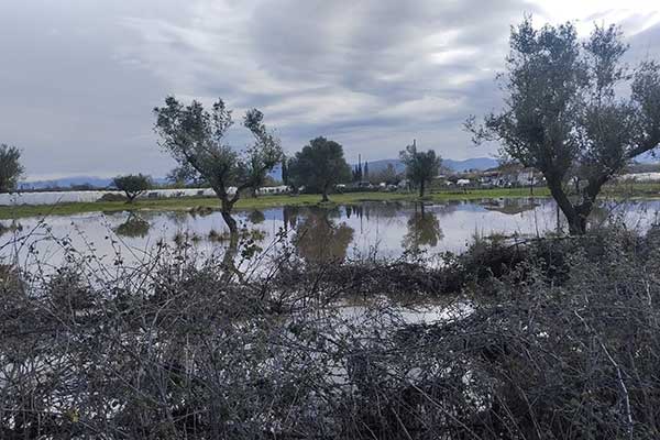 327718504 867899407796607 2434269026459707066 n