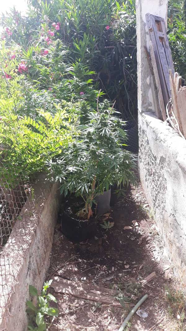 27052021ya001