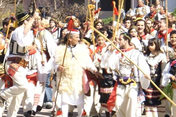 vlaxikos gamos thiva