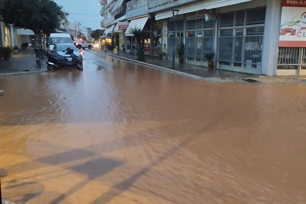 623392784 4160279884236964 4242095694299531857 n