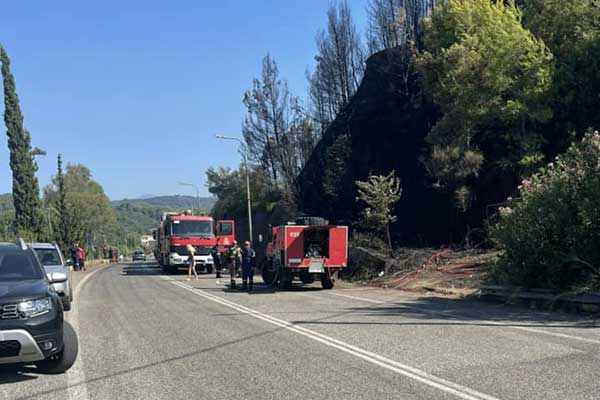 357794654 10226559717353879 3915633183044098800 n