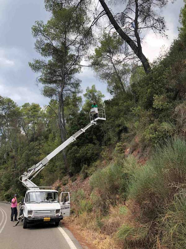 284 ΑΠΟΨΙΛΩΣΗ