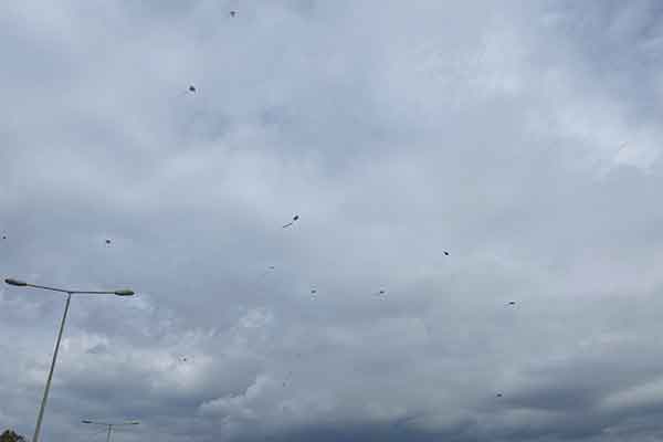 481902601 122203003658177802 1195266751007701910 n