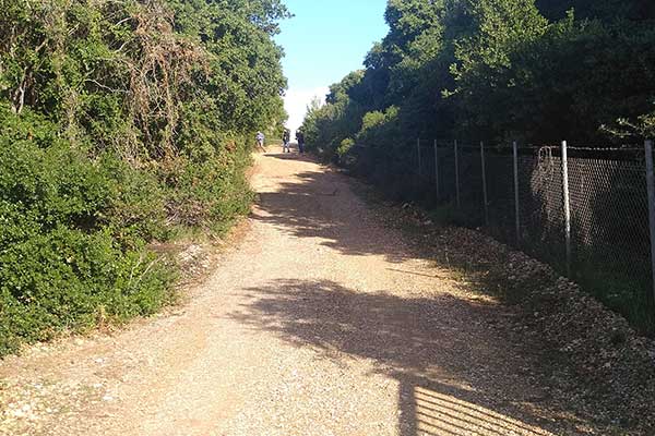 3 2023 05 03T145042.859