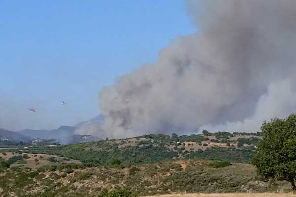 292210521 3139845066280456 6288821542364607507 n