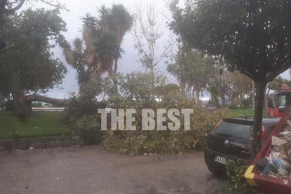 maaqxsesof61a5d0f0bc8e0