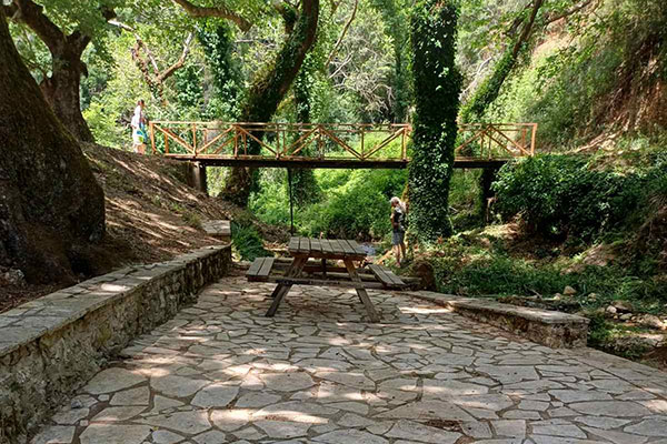 ampoulas vasilaki katharismos5