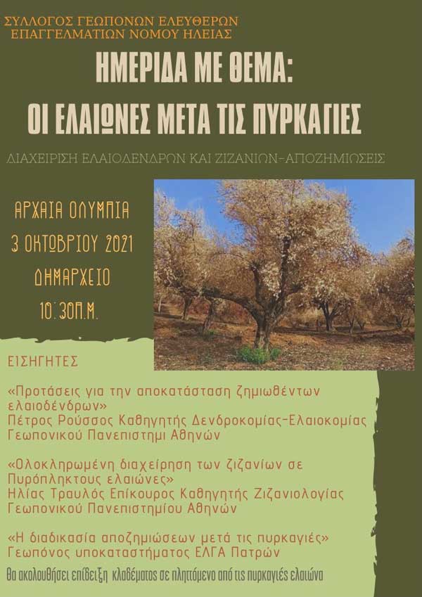 ΑΦΙΣΑ