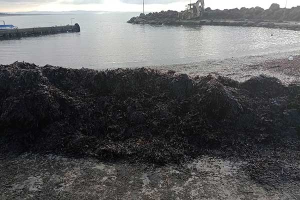 322957605 699697484999318 6631660788097423796 n