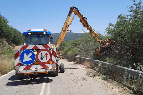 0037---THOLO---FIGALEIA