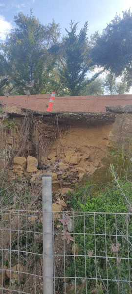 IMG df9fe38bd1fe3819e351e48cae94750a V