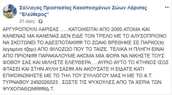 fssdfsdf