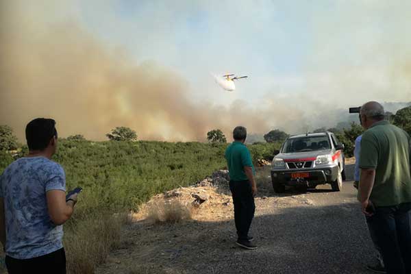 IMG-cb462c7ccdbcdd9b37cfaeaa4fcd9d17-V