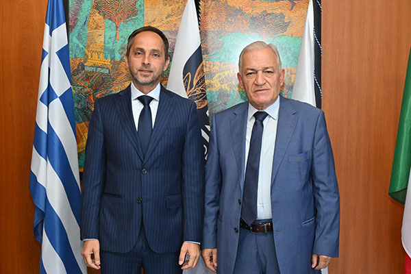 sinantisi dimarxou proedrou kede6