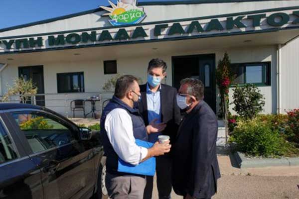 araxovitis farma ileias