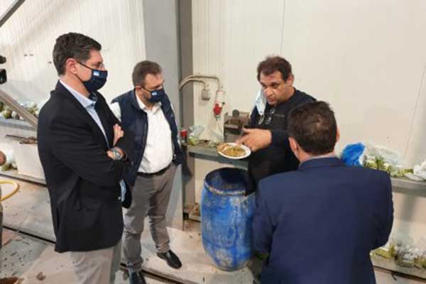 elaiotriveio araxovitis2