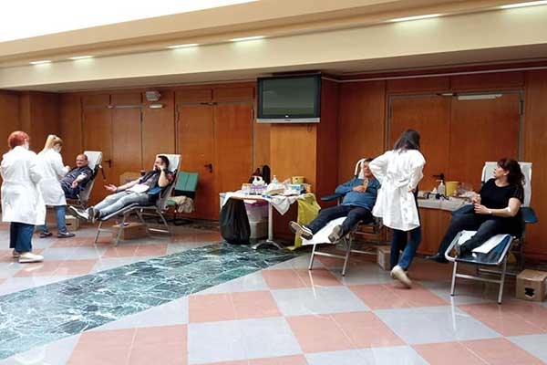 280293156 3393295987583076 4928786474590778015 n